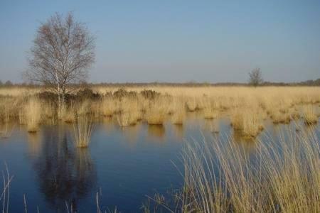 appartement de Groote Peel Nederweert Buitenkant foto